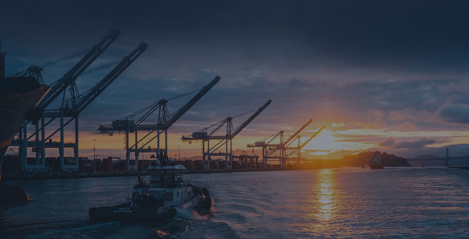 Procurement and Supply